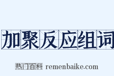 加聚反应组词是什么意思的图片
